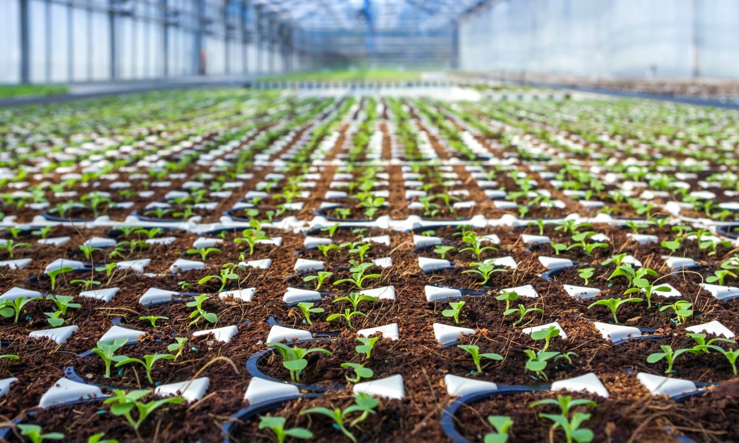 americas_shrinking_farms